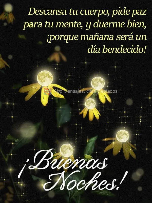 Descansa teu corpo, peça paz para sua mente, e durma bem, porque amanhã será um dia abençoado! Boa noite!