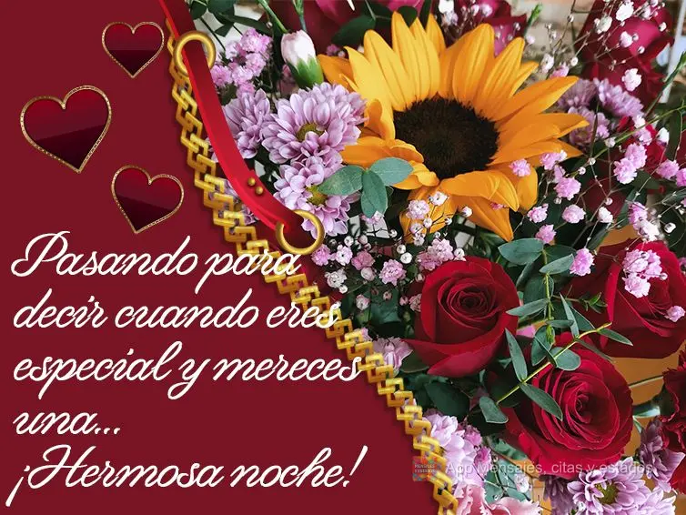 Passando aqui para dizer o quanto você é especial e merece uma  Linda noite!