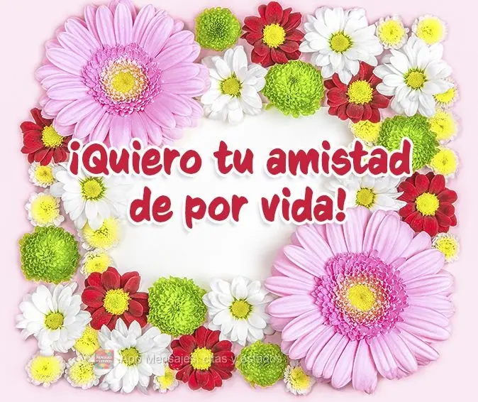 ¡Quiero tu amistad de por vida!