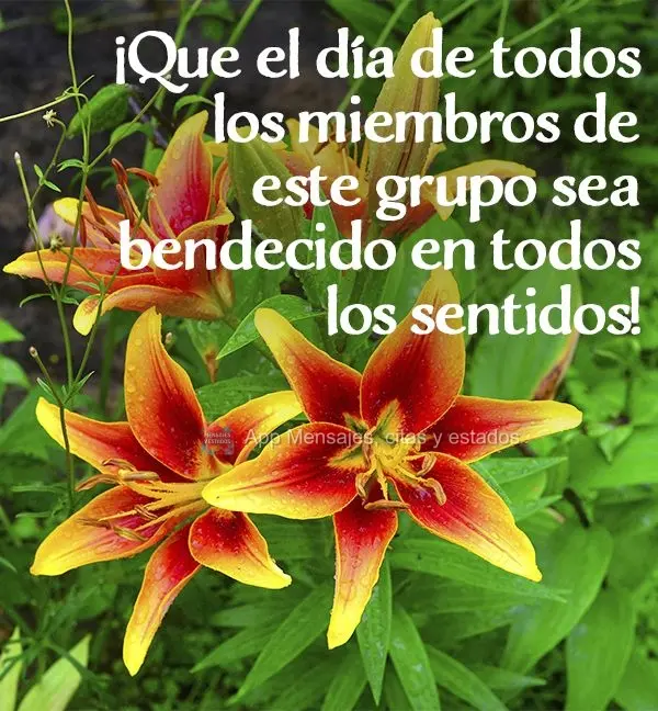 ¡Que el día de todos los miembros de este grupo sea bendecido en todos los sentidos!
