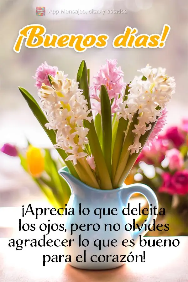 Aprecie o que encanta os olhos mas não esqueça de agradecer o que faz bem ao coração! Bom dia!