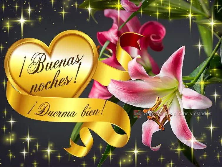 Boa noite! Durma bem!