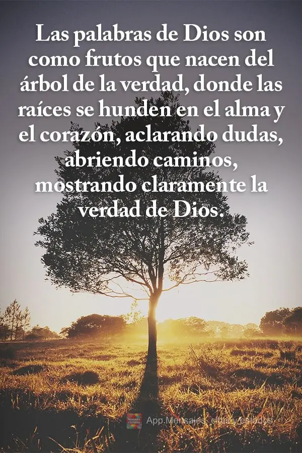 Las palabras de Dios son como frutos que nacen del árbol de la verdad, donde las raíces se hunden en el alma y el corazón, aclarando dudas, abriendo c...