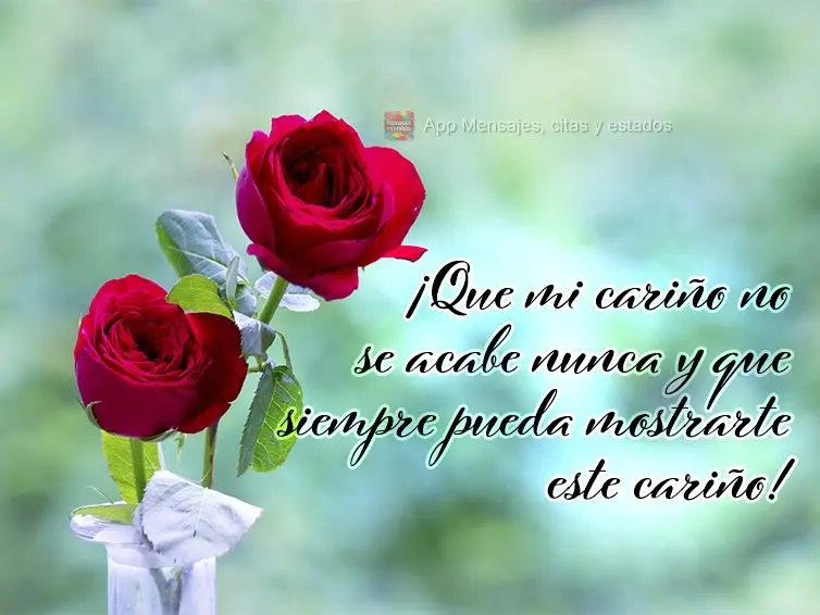 Que o meu carinho nunca acabe e que eu possa sempre estar demonstrando esse carinho por você!