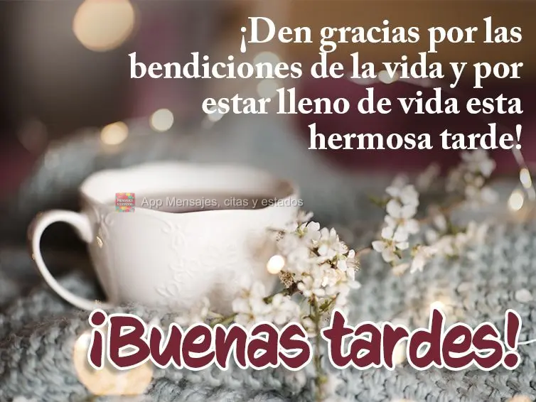 Agradeça pelas bênçãos da vida e por estar cheio de vida nesta linda tarde! Boa tarde! 