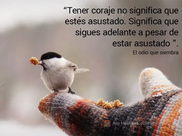 “Tener coraje no significa que estés asustado. Significa que sigues adelante a pesar de estar asustado ". el odio que siembra