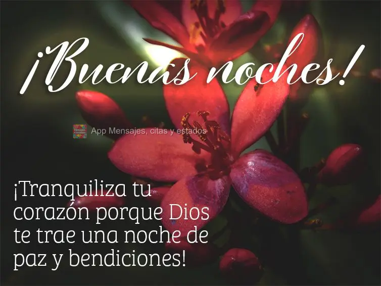 Tranquiliza o teu coração porque Deus está trazendo para você uma noite de paz e bênçãos! Boa noite!