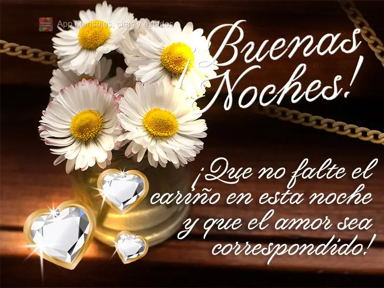 Que não falte carinho nesta noite e que o amor seja recíproco! Boa noite!