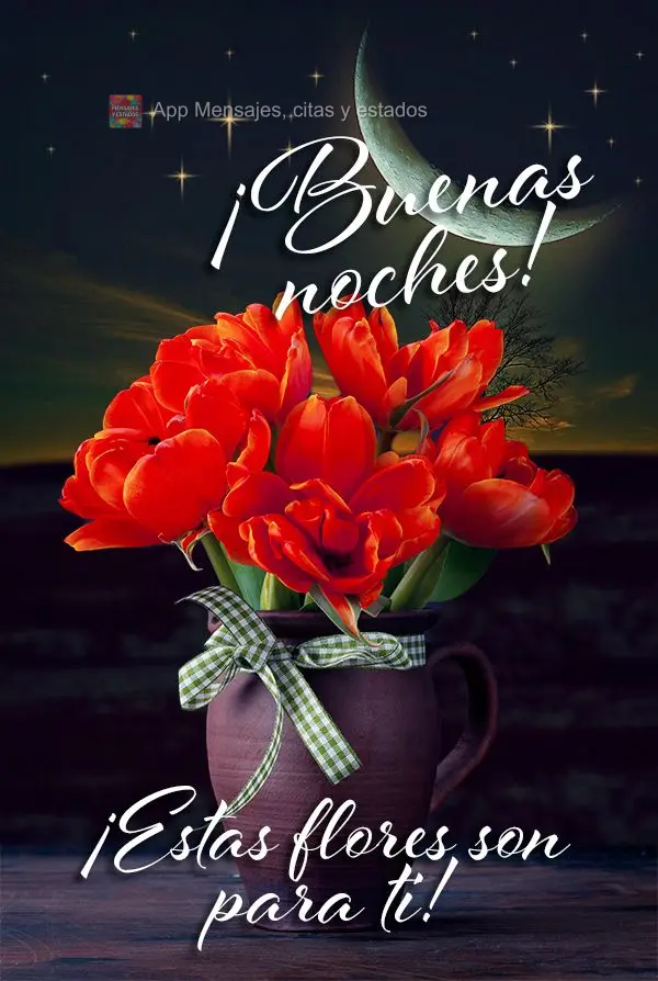 Essas flores são para você! Boa noite! 