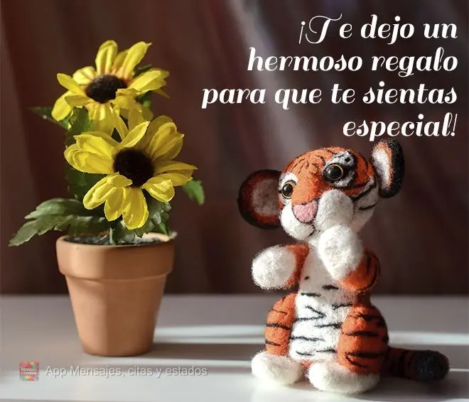 ¡Te dejo un hermoso regalo para que te sientas especial!