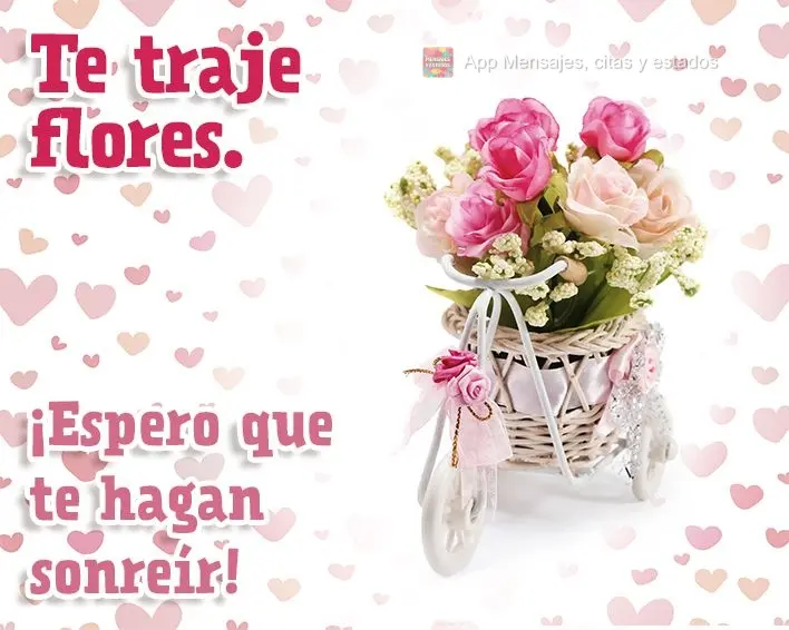 Te traje flores. ¡Espero que te hagan sonreír!