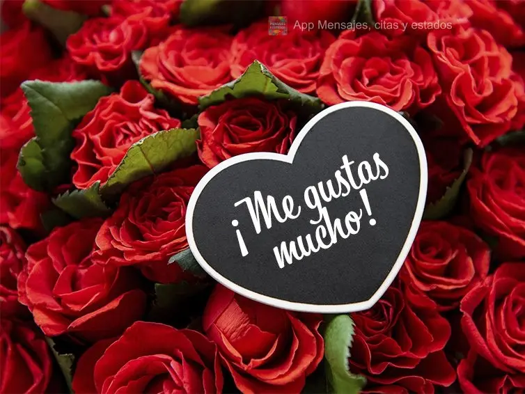 ¡Me gustas mucho!