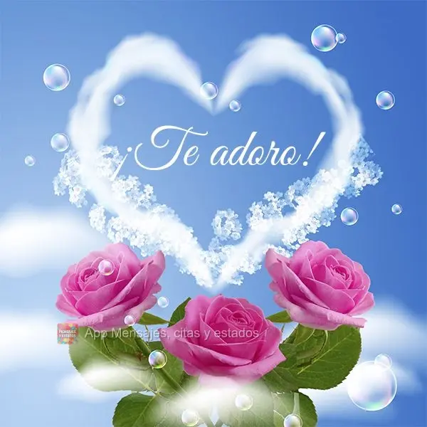 ¡Te adoro!