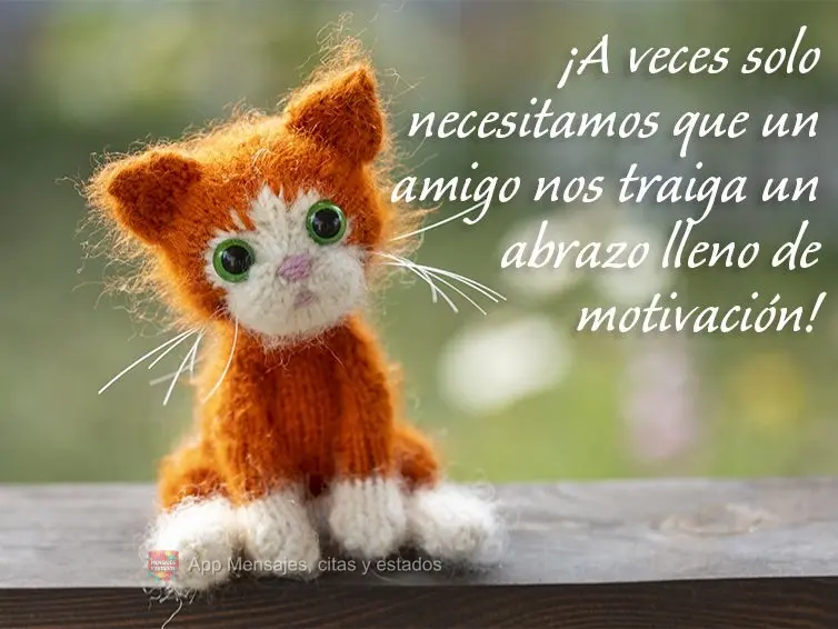 ¡A veces solo necesitamos que un amigo nos traiga un abrazo lleno de motivación!