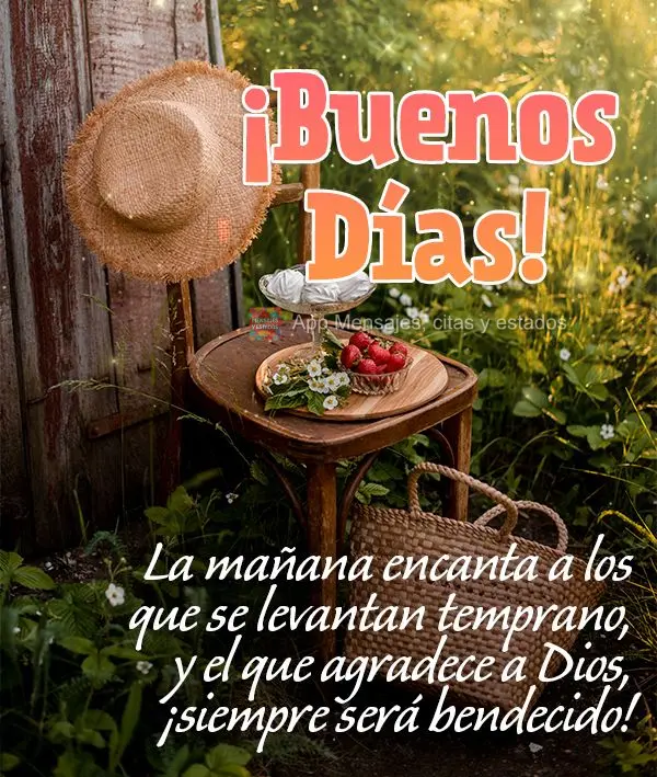 A manhã encanta quem cedo levanta, e quem agradece a Deus, sempre será abençoado! Bom dia!