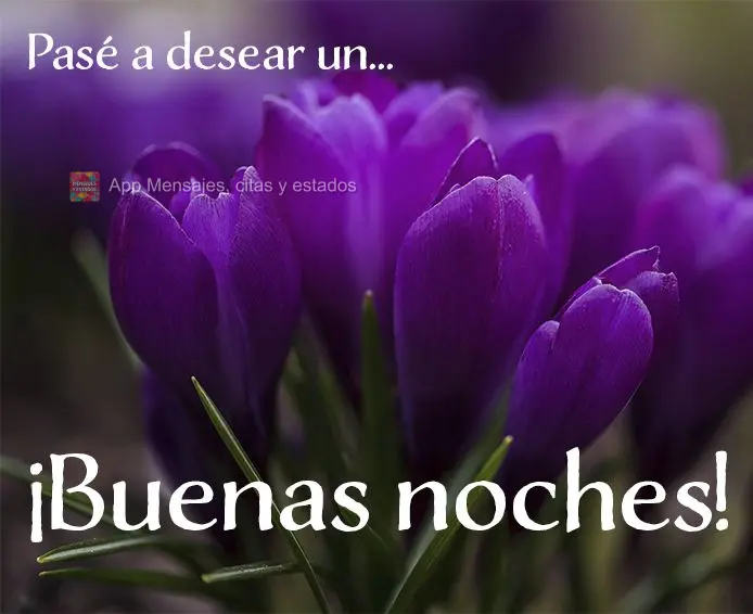 Passei aqui para desejar uma... Boa noite!