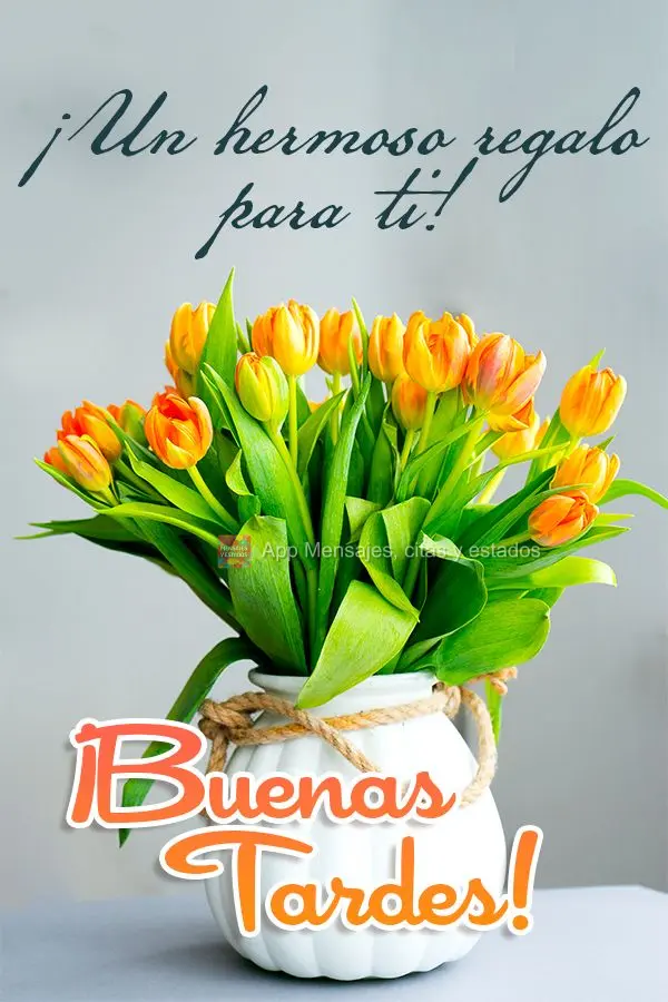 ¡Un hermoso regalo para ti! ¡Buenas tardes!