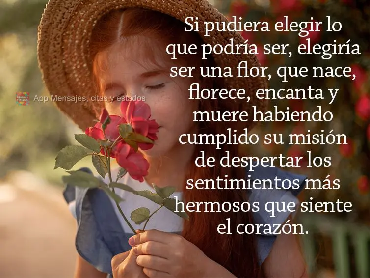 Se eu pudesse escolher o que eu pudesse ser, eu escolheria ser uma flor, que nasce, floresce, encanta e morre tendo cumprido sua missão de despertar os ...