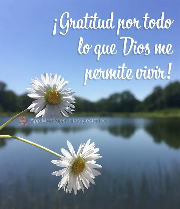 ¡Gratitud por todo lo que Dios me permite vivir!