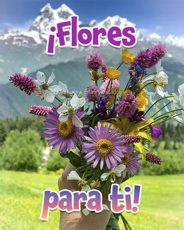 ¡Flores para ti!