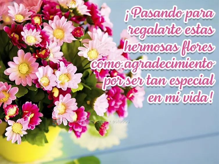¡Pasando para regalarte estas hermosas flores como agradecimiento por ser tan especial en mi vida!