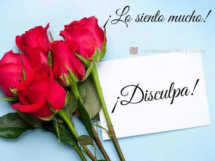 ¡Lo siento mucho! ¡Disculpa! 