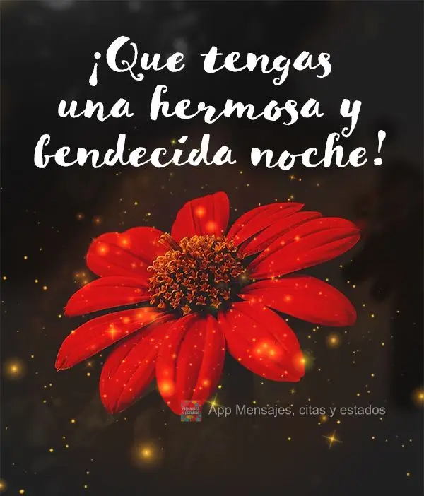 Tenha uma linda e abençoada Noite!