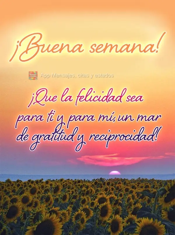 ¡Que la felicidad sea para ti y para mí, un mar de gratitud y reciprocidad! ¡Buena semana!