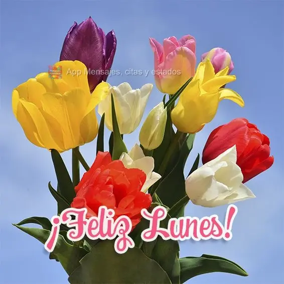 ¡Feliz lunes!