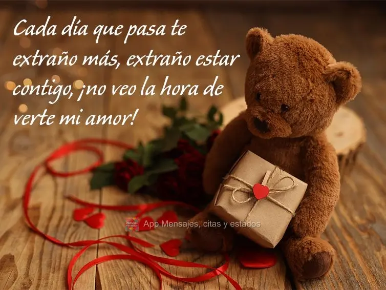 Cada dia que passa sinto mais a sua falta. Saudade de estar com você, não vejo a hora de te ver, meu amor!