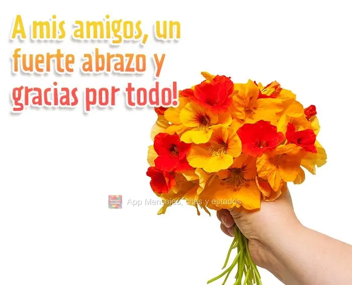 Para os meus amigos um grande abraço e muito obrigado por tudo!