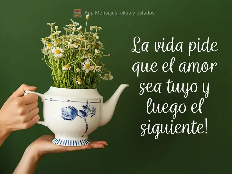 A vida pede que o amor seja próprio e depois ao próximo!