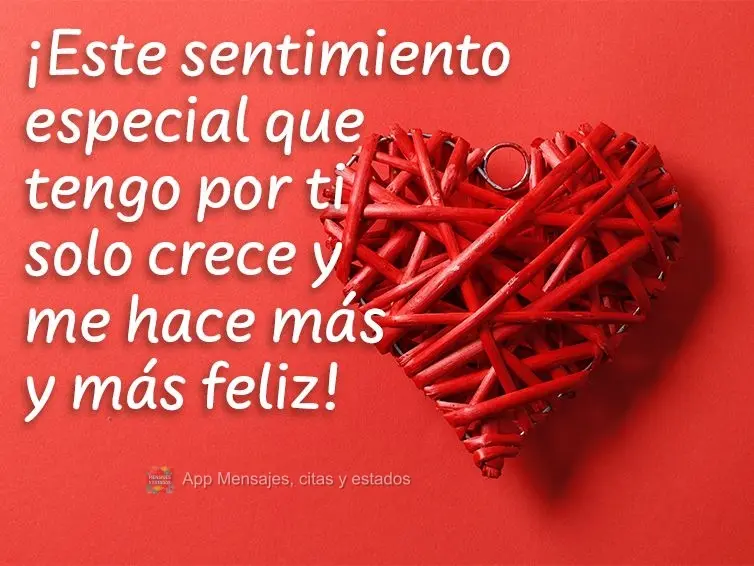 Esse sentimento especial que tenho por você só cresce e me faz cada vez mais feliz!