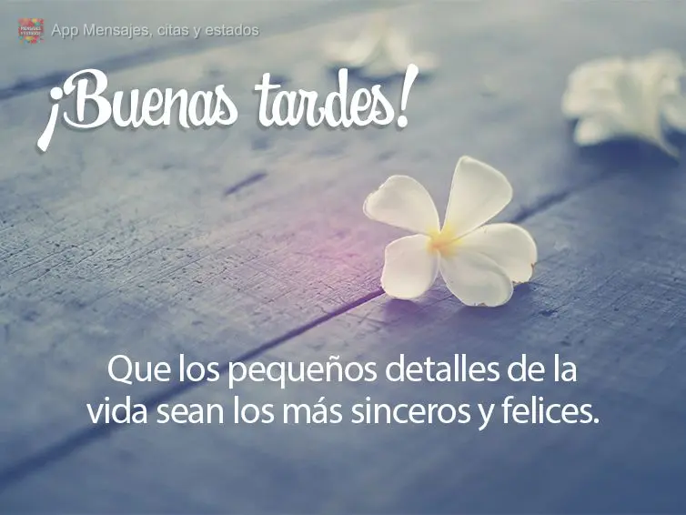 Que os pequenos detalhes da vida sejam os mais sinceros e felizes. Boa tarde!