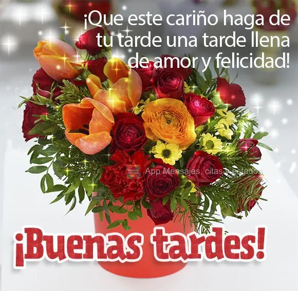 Que este carinho faça da sua tarde uma tarde cheia de amor e felicidade! Boa tarde!