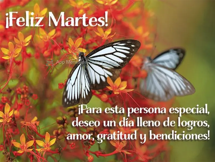 ¡Para esta persona especial, deseo un día lleno de logros, amor, gratitud y bendiciones! ¡Feliz martes!