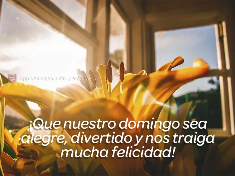 ¡Que nuestro domingo sea alegre, divertido y nos traiga mucha felicidad!