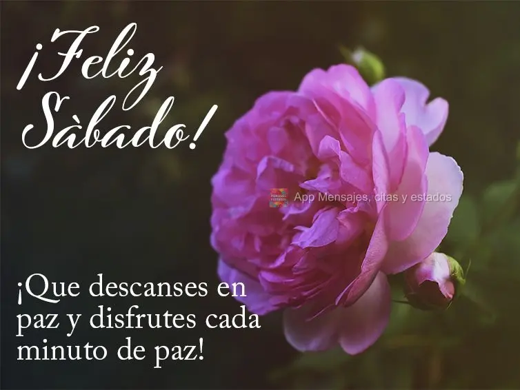 Que possa descansar tranquilamente e aproveitar cada minuto de paz! Feliz Sábado!