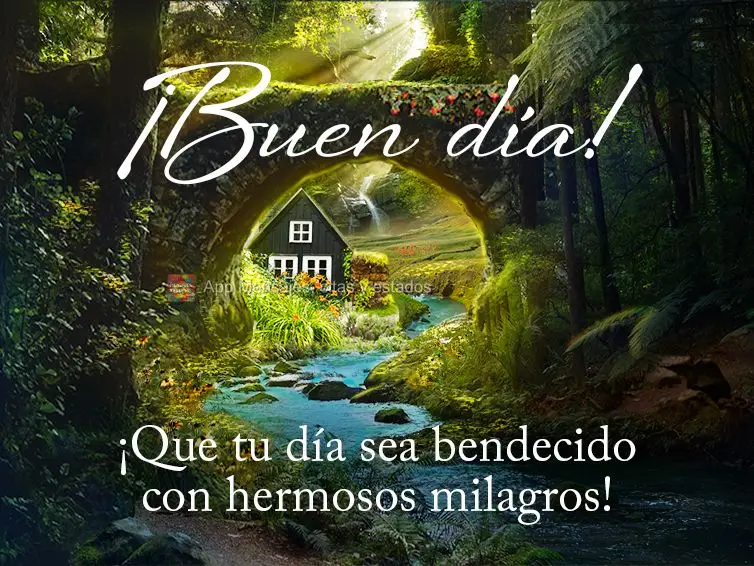 Que seu dia seja abençoado com lindos milagres! Bom dia! 