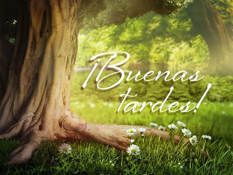 ¡Buenas tardes!