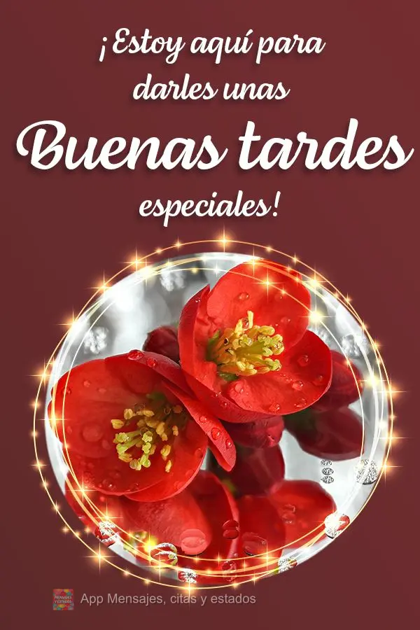 Estou aqui para lhe entregar em especial uma Boa tarde!