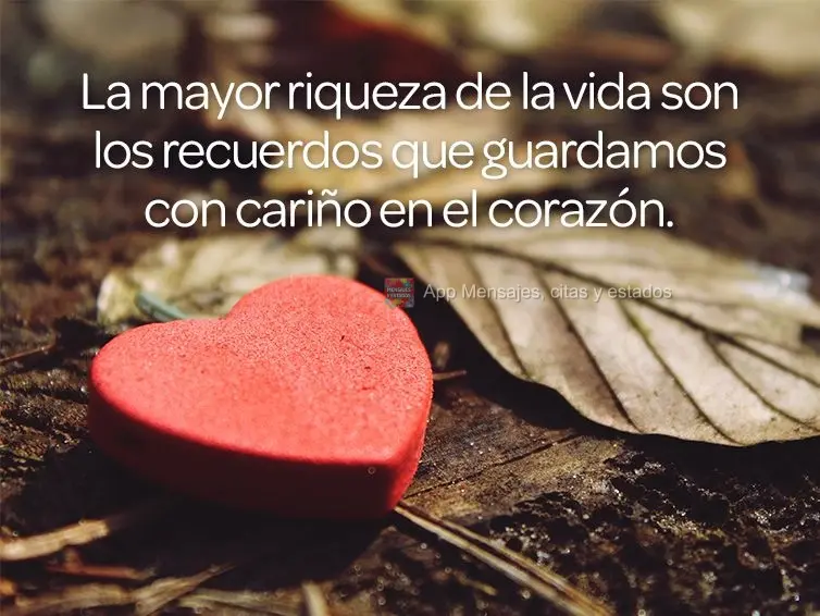 A maior riqueza da vida são as memórias que guardamos com carinho no coração.