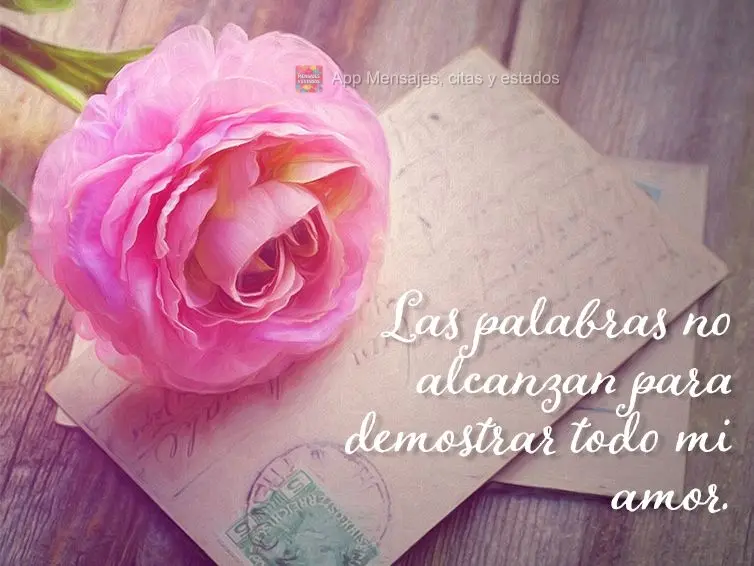 Las palabras no alcanzan para demostrar todo mi amor.