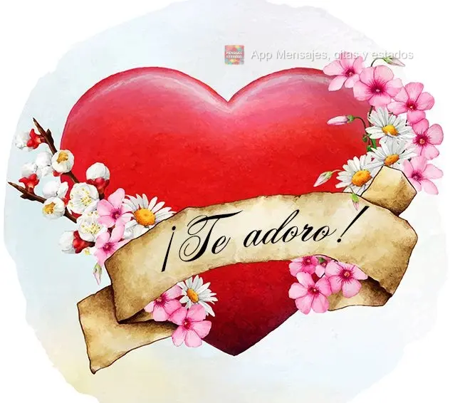 ¡Te adoro!