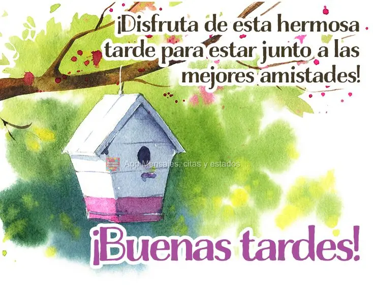 Aproveite esta linda tarde para estar junto das melhores amizades! Boa tarde! 