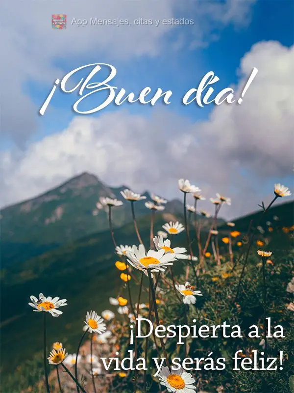 Acorda pra vida e vai ser feliz! Bom dia!