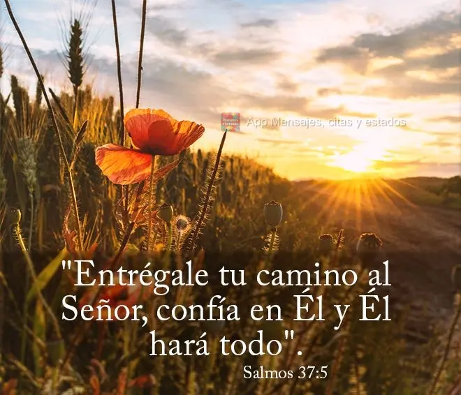 "Entrégale tu camino al Señor, confía en Él y Él hará todo". Salmos 37:5