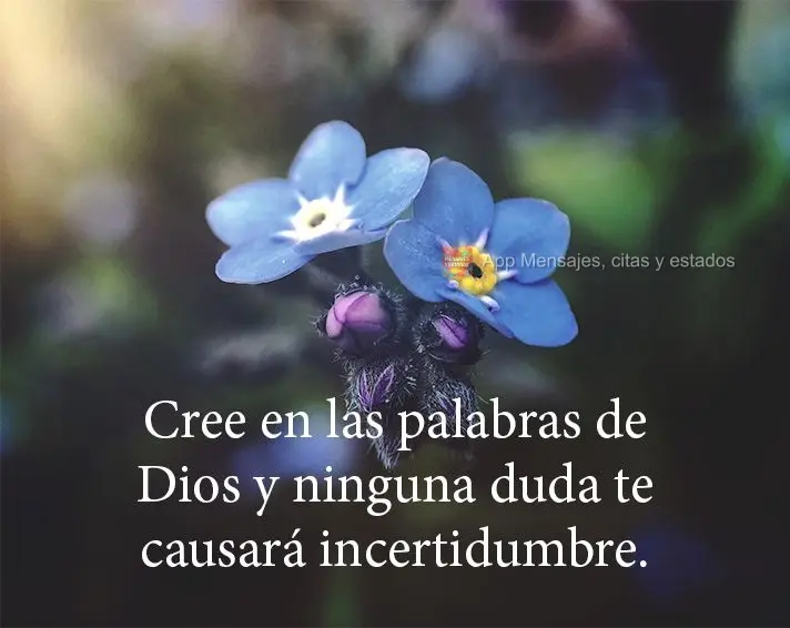 Cree en las palabras de Dios y ninguna duda te causará incertidumbre.