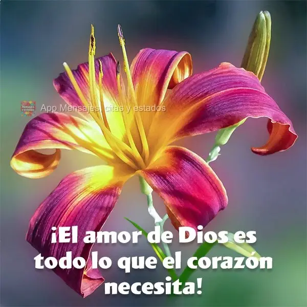 ¡El amor de Dios es todo lo que el corazón necesita!