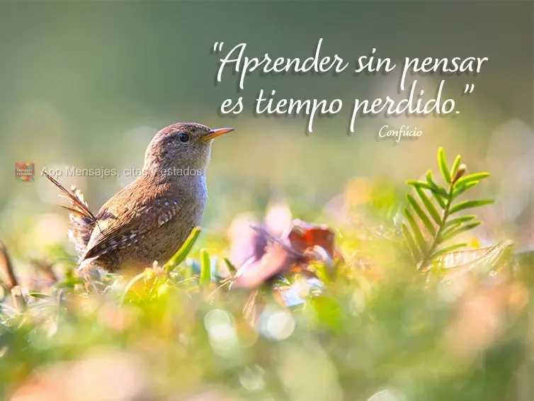 “Aprender sin pensar es tiempo perdido.” Confucio